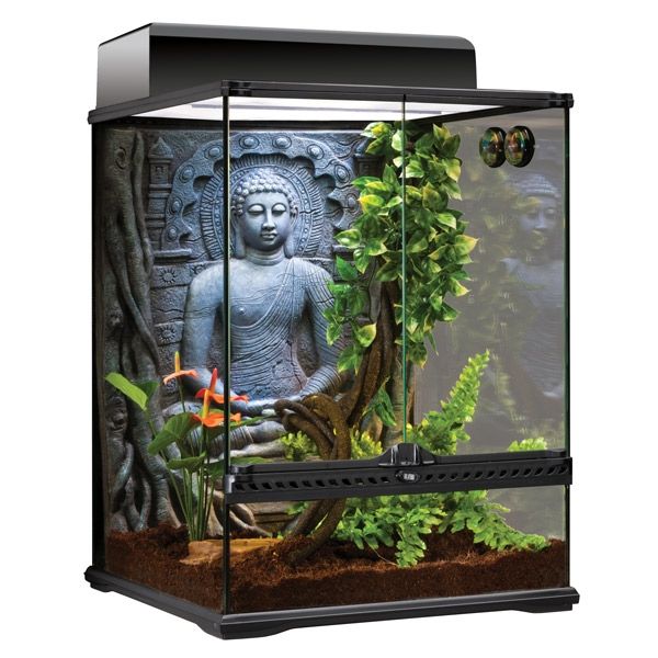 Aquarium/Terrarium Epoxidharz Aquarium/Terrarium Epoxidharz