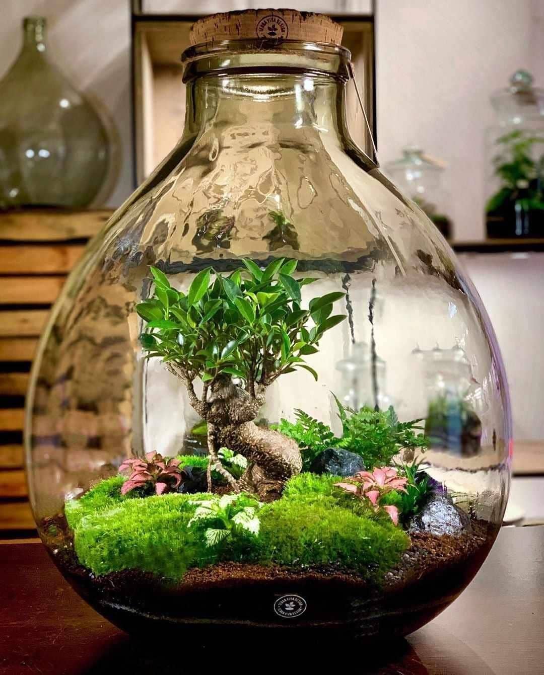 Aquarium/Terrarium Epoxidharz Aquarium/Terrarium Epoxidharz