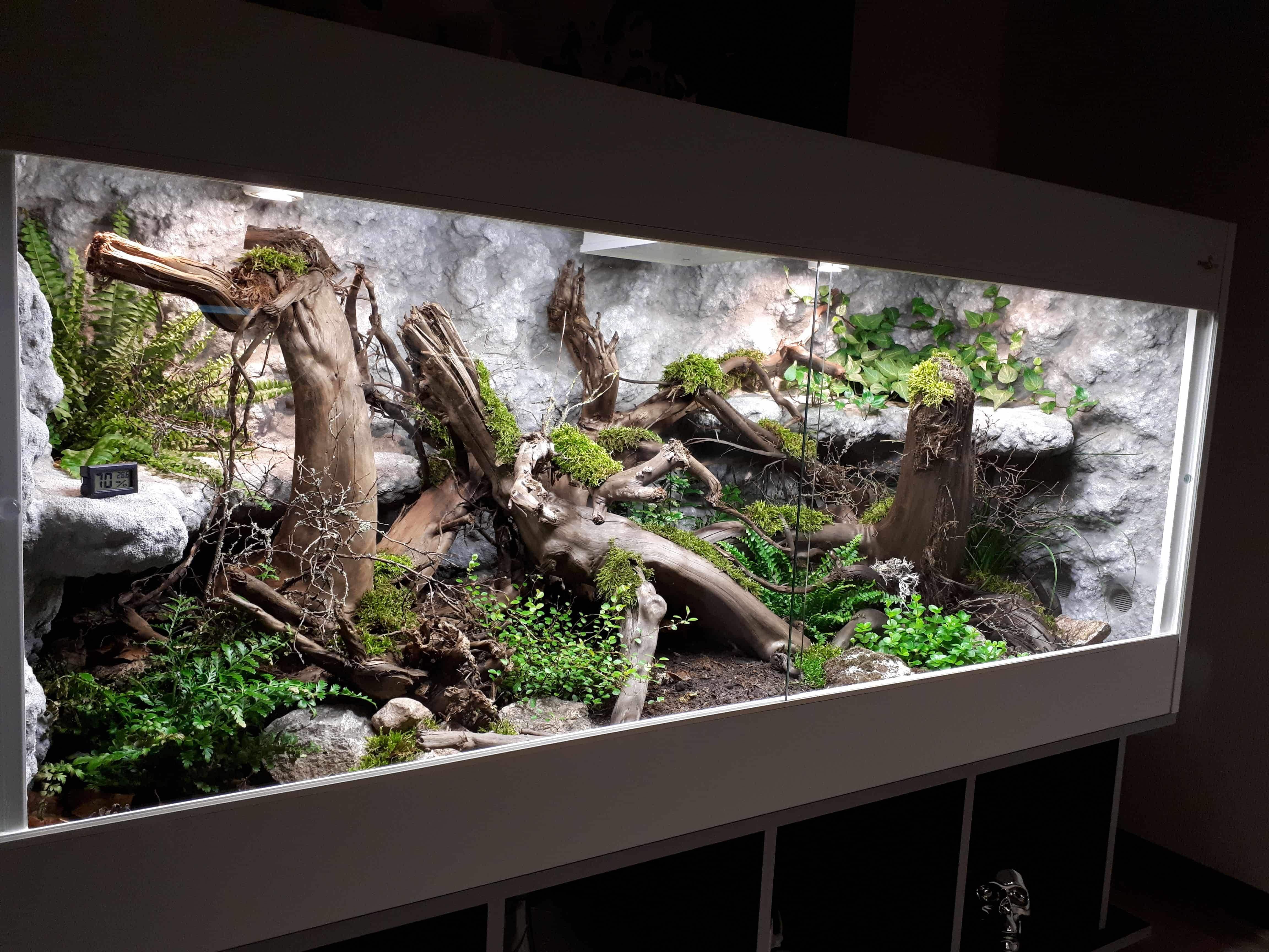 Aquarium/Terrarium Epoxidharz Aquarium/Terrarium Epoxidharz